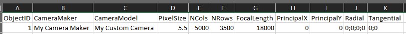 Formatted camera file fields Formatted camera file fields