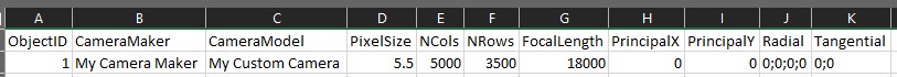 Formatted camera file fields