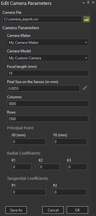 Custom model in edit camera parameters pane