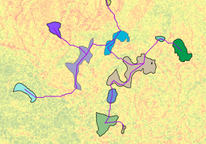 The MST path network optimally connecting the regions