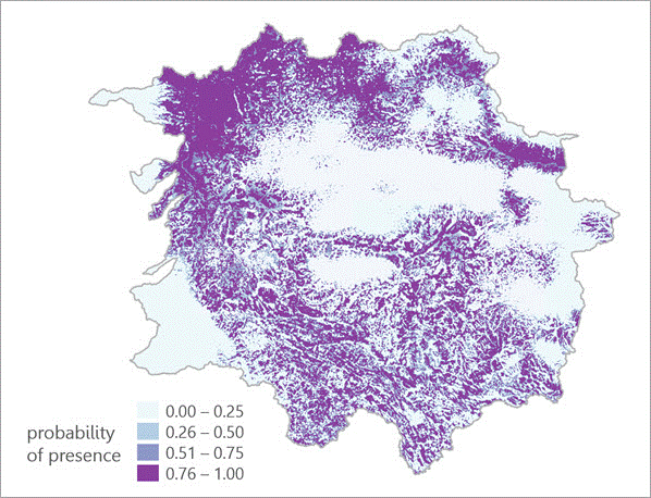 Raster surface showing probability of presence in the study area. Raster surface showing probability of presence in the study area.