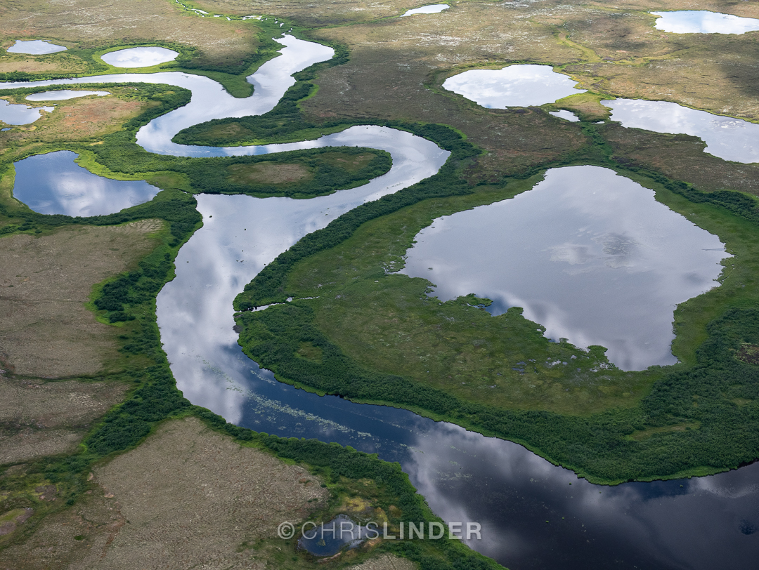 River winds and twists through green marsh delta. The river water reflects the blue clouds