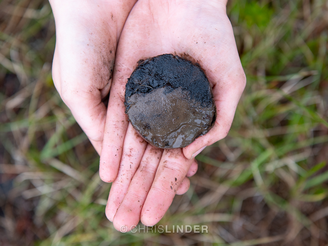 two hands hold a permafrost sample