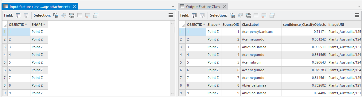 Attribute Tables of Input and Output Feature Classes