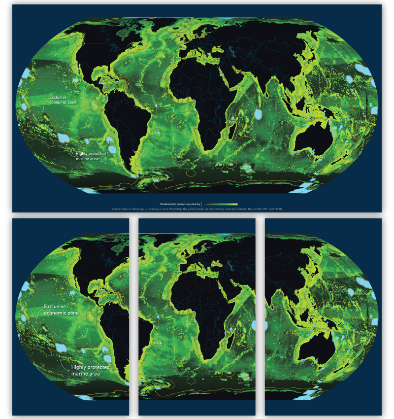 A bright green map identifies the parts of the ocean that are most critical for conservation