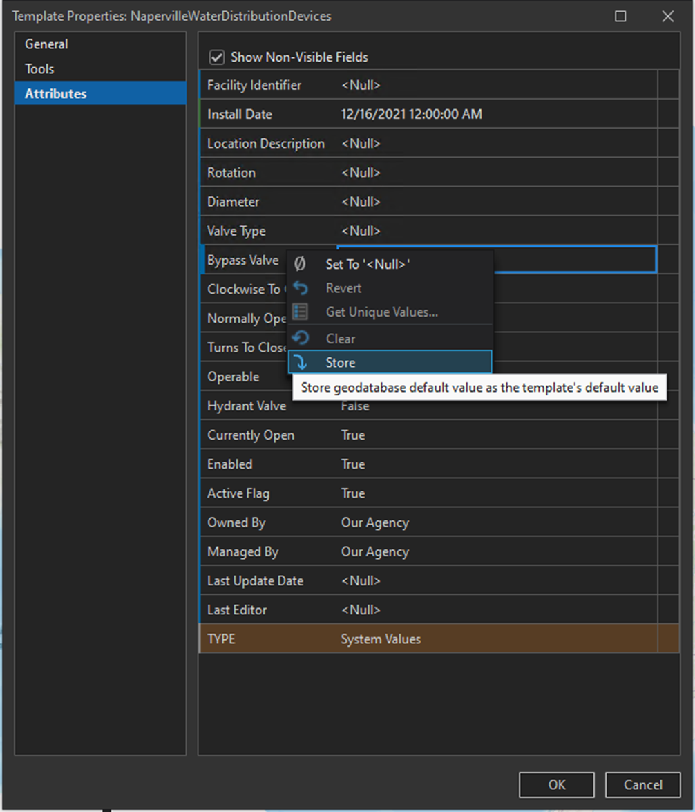 A screenshot of the template properteis window showing the new Store command A screenshot of the template properteis window showing the new Store command