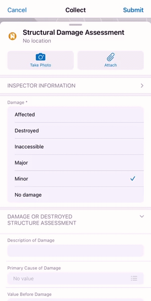 Conditional visibility used in form (GIF).