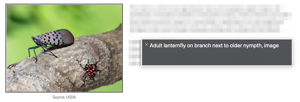 VoiceOver dialog displaying image alt text about lanternflies