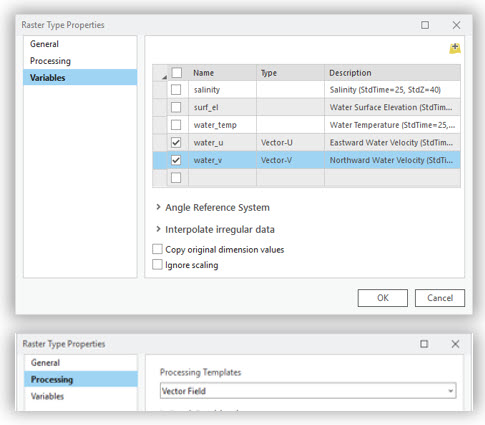 Select variables for vector field processing template