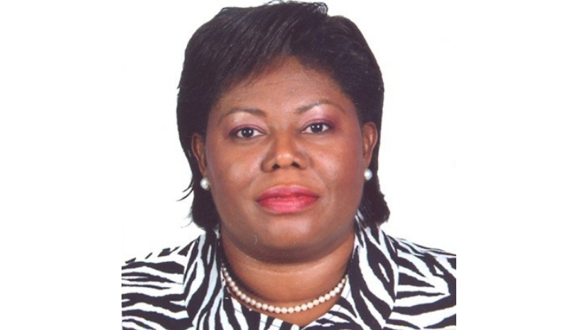 Ms. Cecille Blake, UNSD/UN-GGIM Secretariat Ms. Cecille Blake, UNSD/UN-GGIM Secretariat