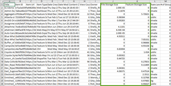 Item report with File Storage Size and Feature Storage Size fields highlighted