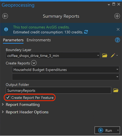 Create Report Per Feature in the Summary Reports Tool