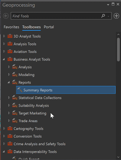 Options in the Summary Reports Tool Options in the Summary Reports Tool