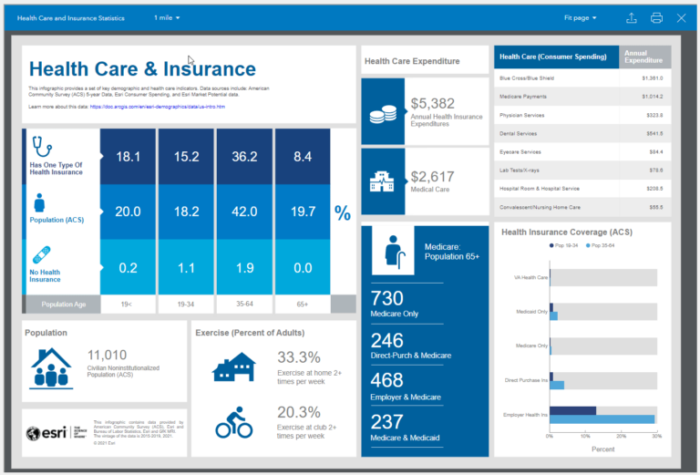 Business Analyst Infographic