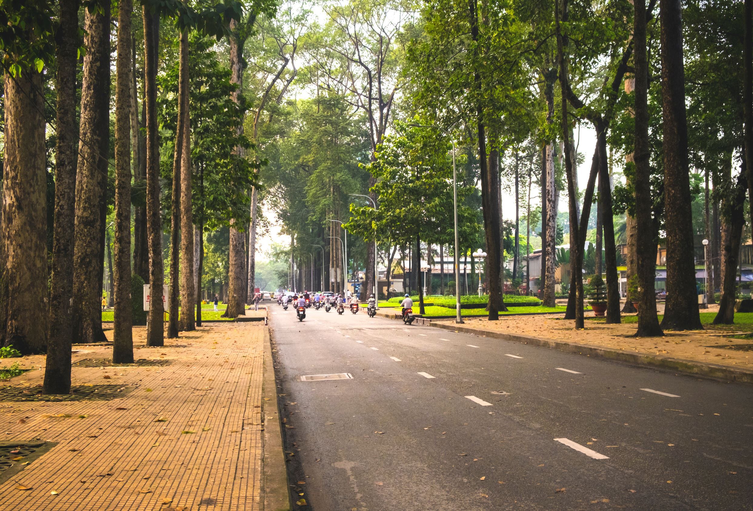 Typical street scene of green in downtown Ho Chi Minh City.