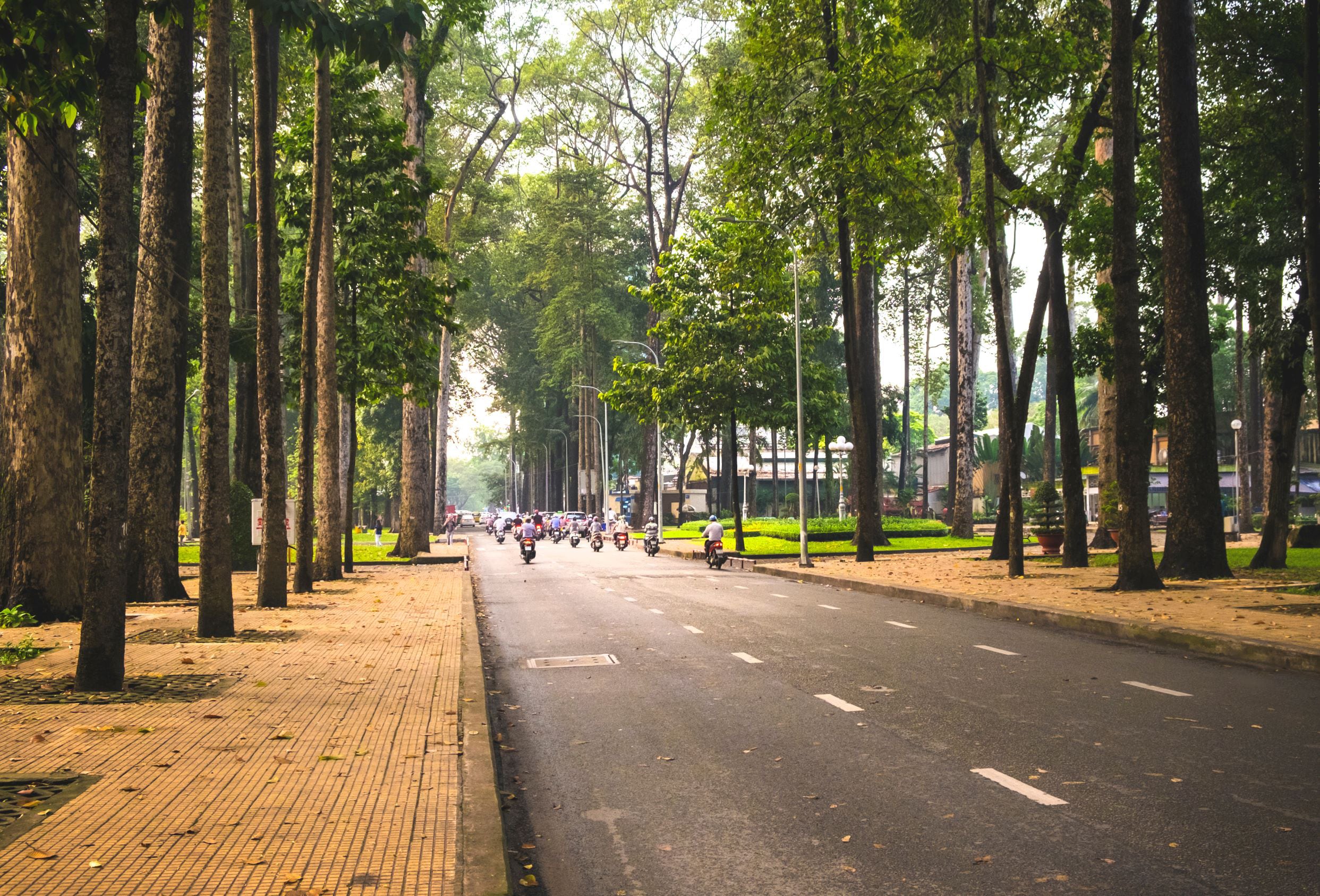 Typical street scene of green in downtown Ho Chi Minh City. Typical street scene of green in downtown Ho Chi Minh City.
