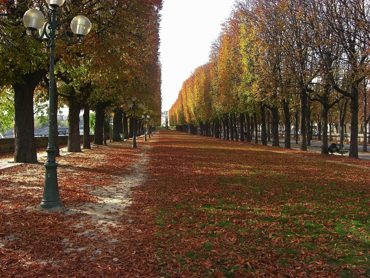 Picture of autumn in Paris. Picture of autumn in Paris.