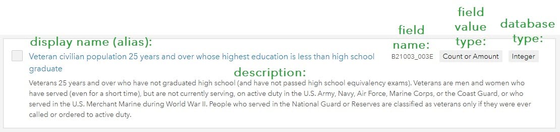 Display name, field name, field value type, database type, and description labeled on an example field: veteran civilian population 25 years and over whose highest education is less than high school. Display name, field name, field value type, database type, and description labeled on an example field: veteran civilian population 25 years and over whose highest education is less than high school.