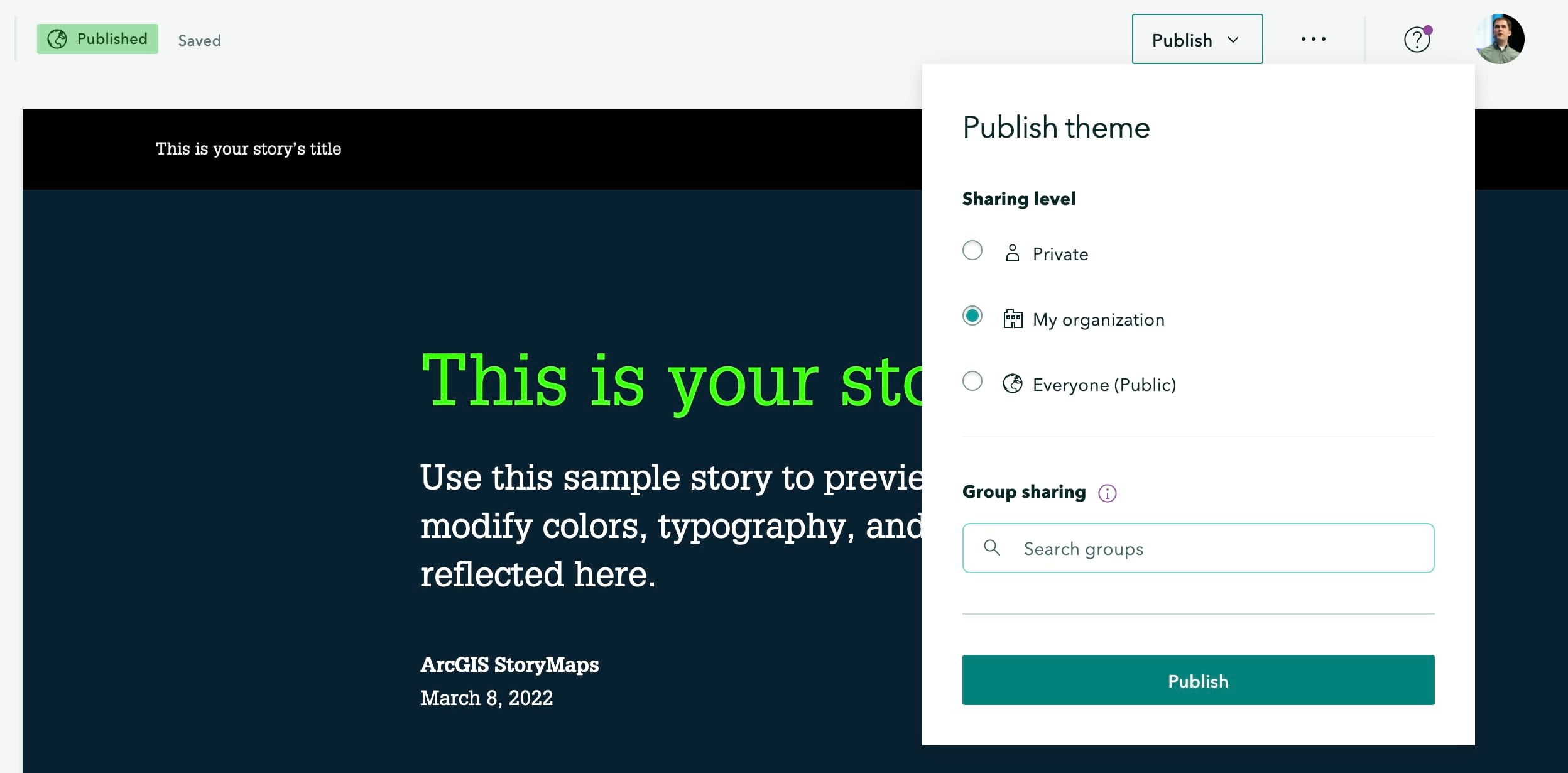 Theme builder publishing options