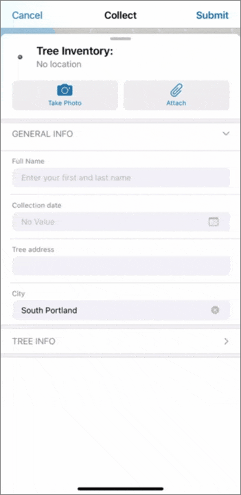 Form in the Field Maps mobile app