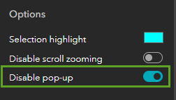 Options section of the Map widget settings with Disable pop-up turned on