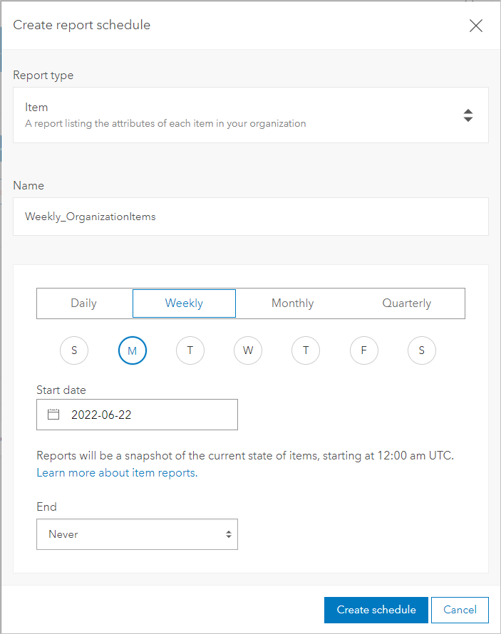 Create scheduled report window with item report options selected