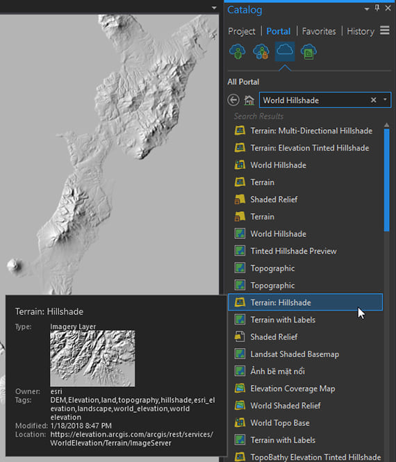 Terrain:Hillshade Imagery layer from ArcGIS Online