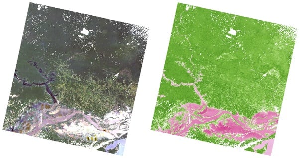 Display of the first slice of Landsat and NDVI scene