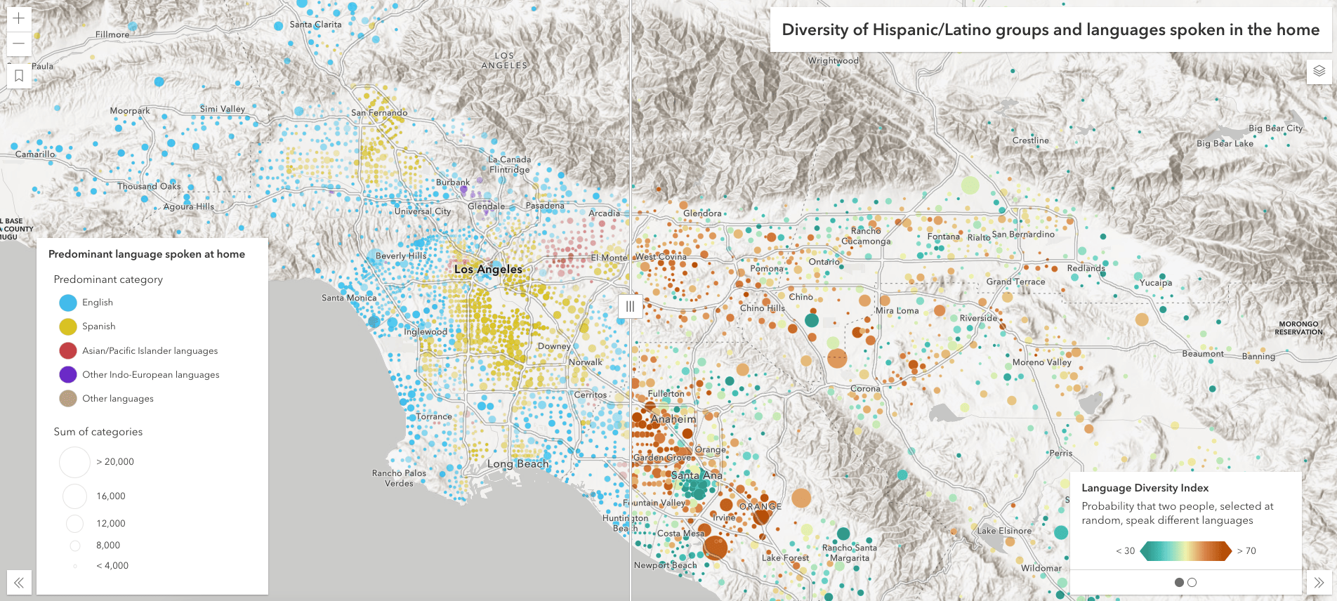 Click this image to explore the diversity of specific Hispanic/Latino groups compared with languages spoken in the home.