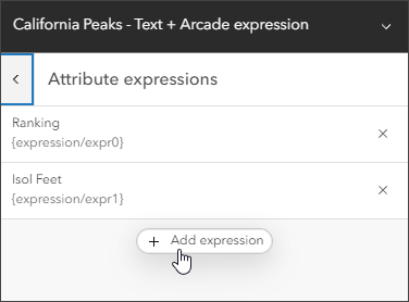 Add expression