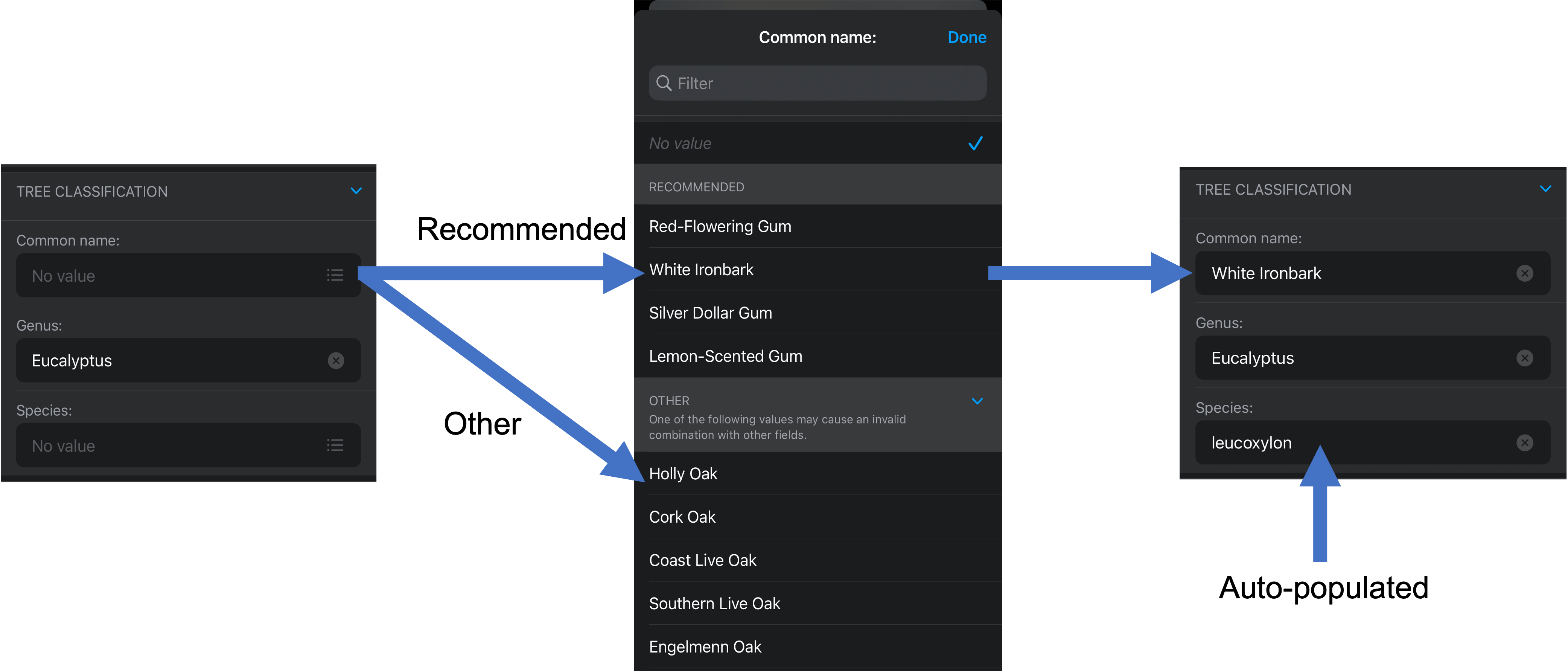 Automatically populated contingent value Automatically populated contingent value