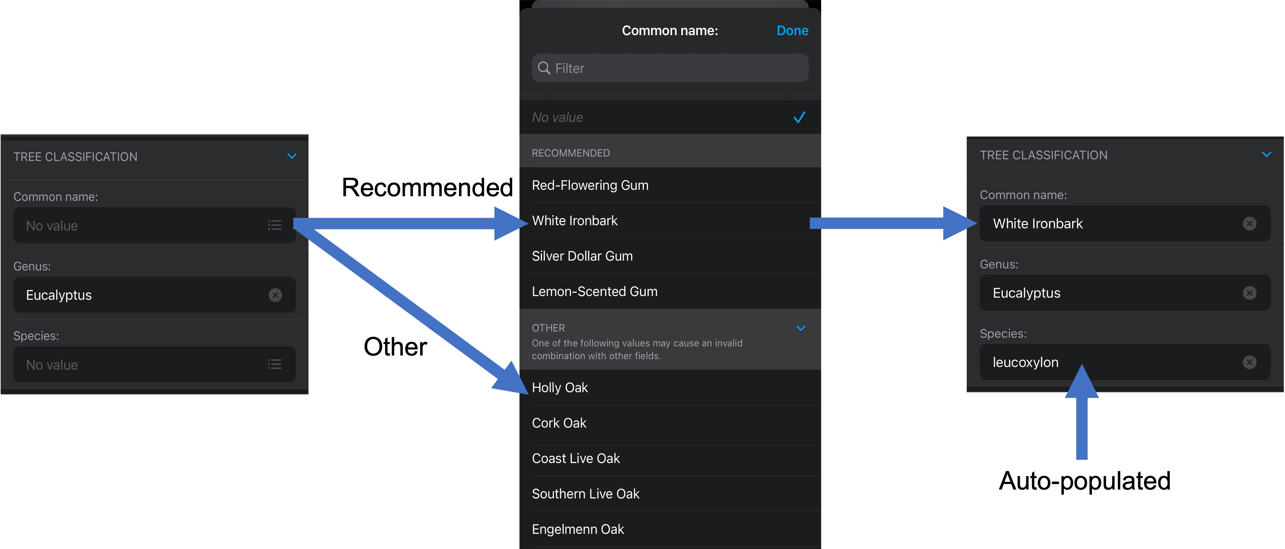 Automatically populated contingent value