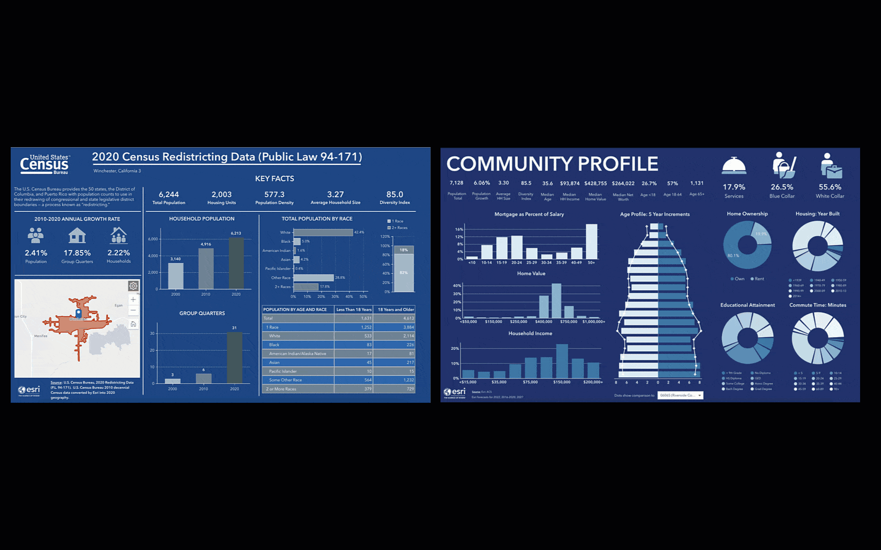 Census and Community Profile Infographics