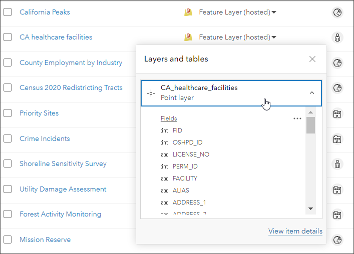 Feature layer preview Feature layer preview