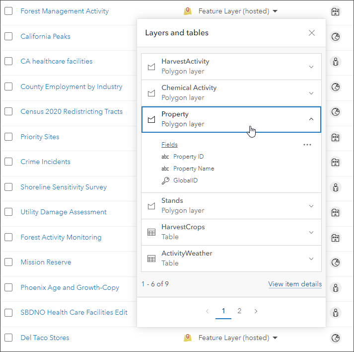 Feature layer preview