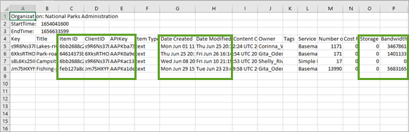 Service usage report with ID, Date, Storage, and Bandwidth fields highlighted