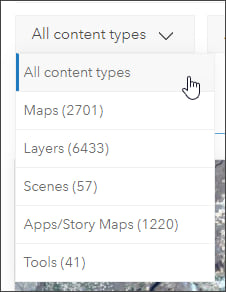 Content type filter