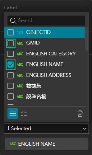 Set the display field