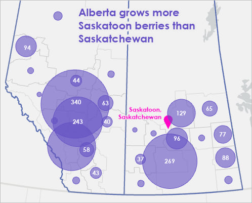 Map of saskatoon berries in Alberta and Saskatchewan
