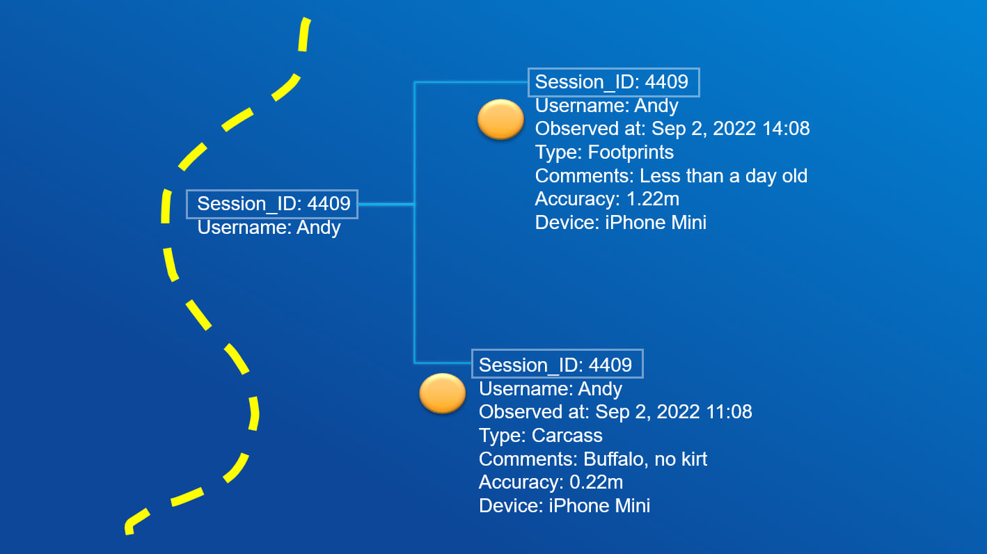 Image shows how the session_id can be used to connect tracks and observations