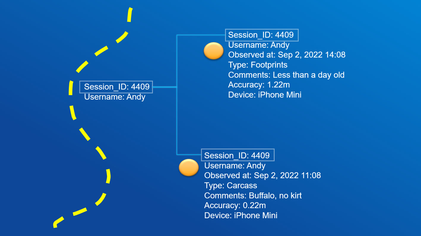 Image shows how the session_id can be used to connect tracks and observations Image shows how the session_id can be used to connect tracks and observations