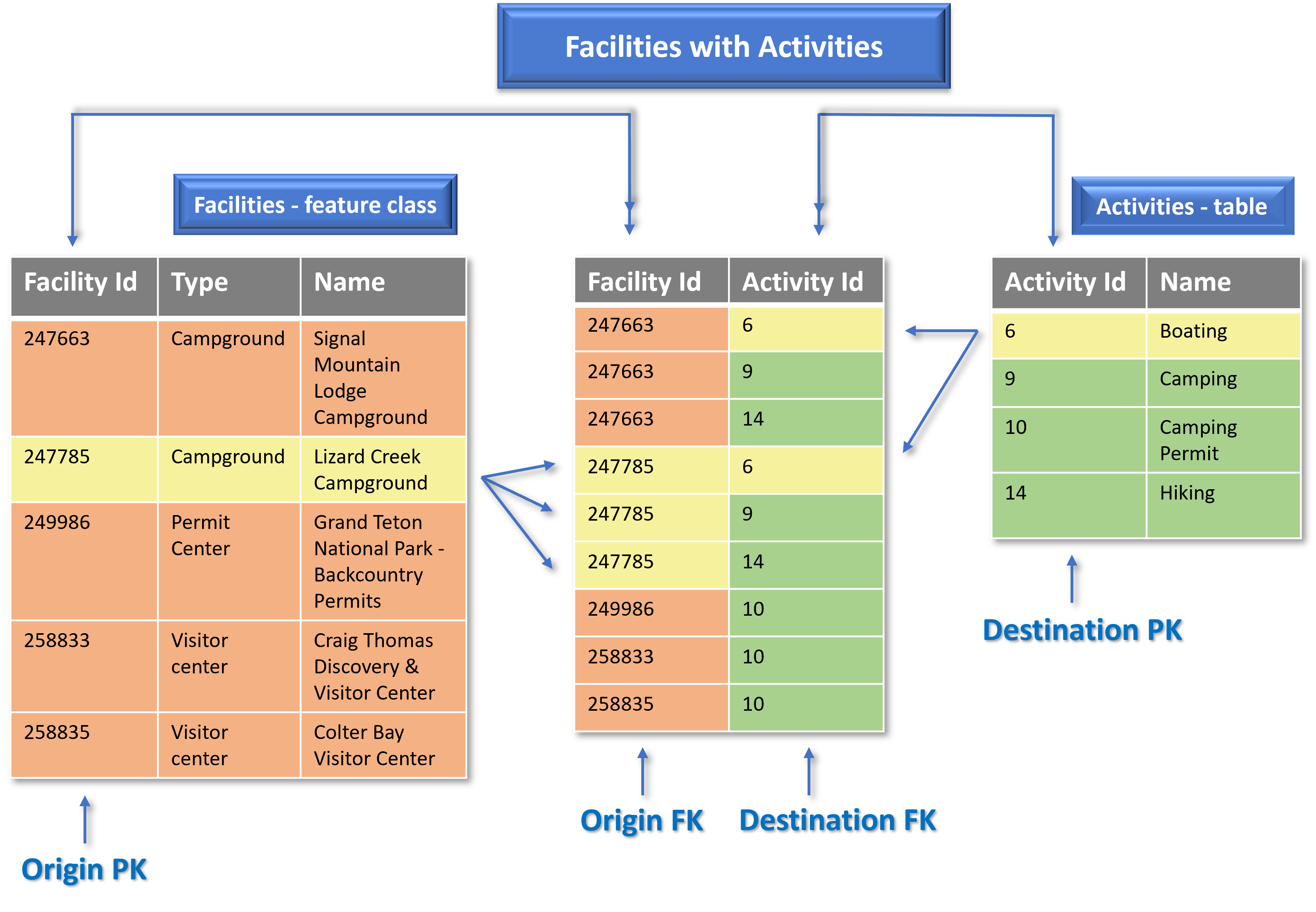 Many-to-many cardinality