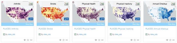 Living Atlas search results showing 5 maps from CDC PLACES data: Arthritis, Stroke, Physical Health, Physical Inactivity, Annual Checkup.