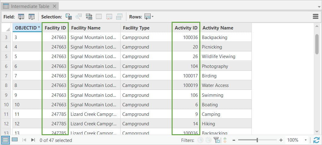 Intermediate table attributes