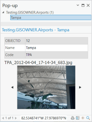 ArcGIS Pro Pop-up window displaying image attachment with select attributes.