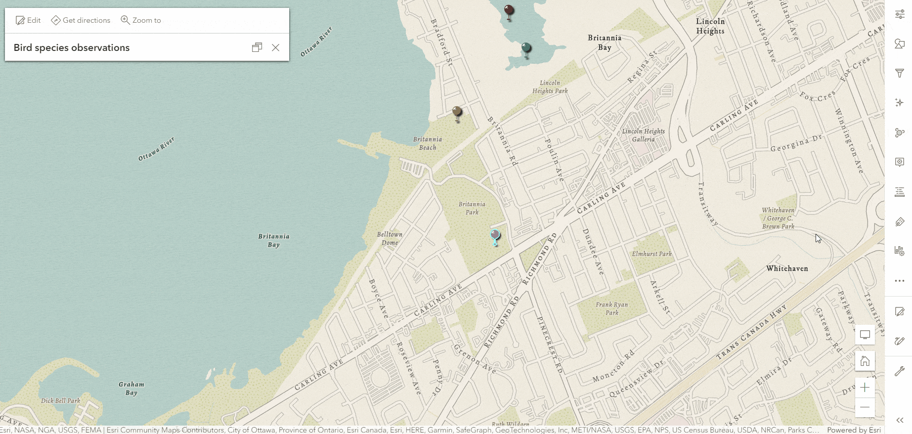 Configuration of a related records pop-up element in Map Viewer.