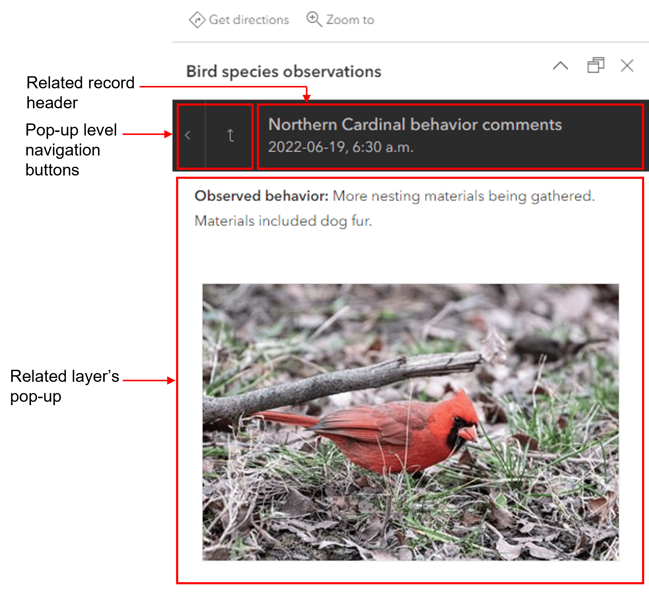 The pop-up from the related bird behavior table.