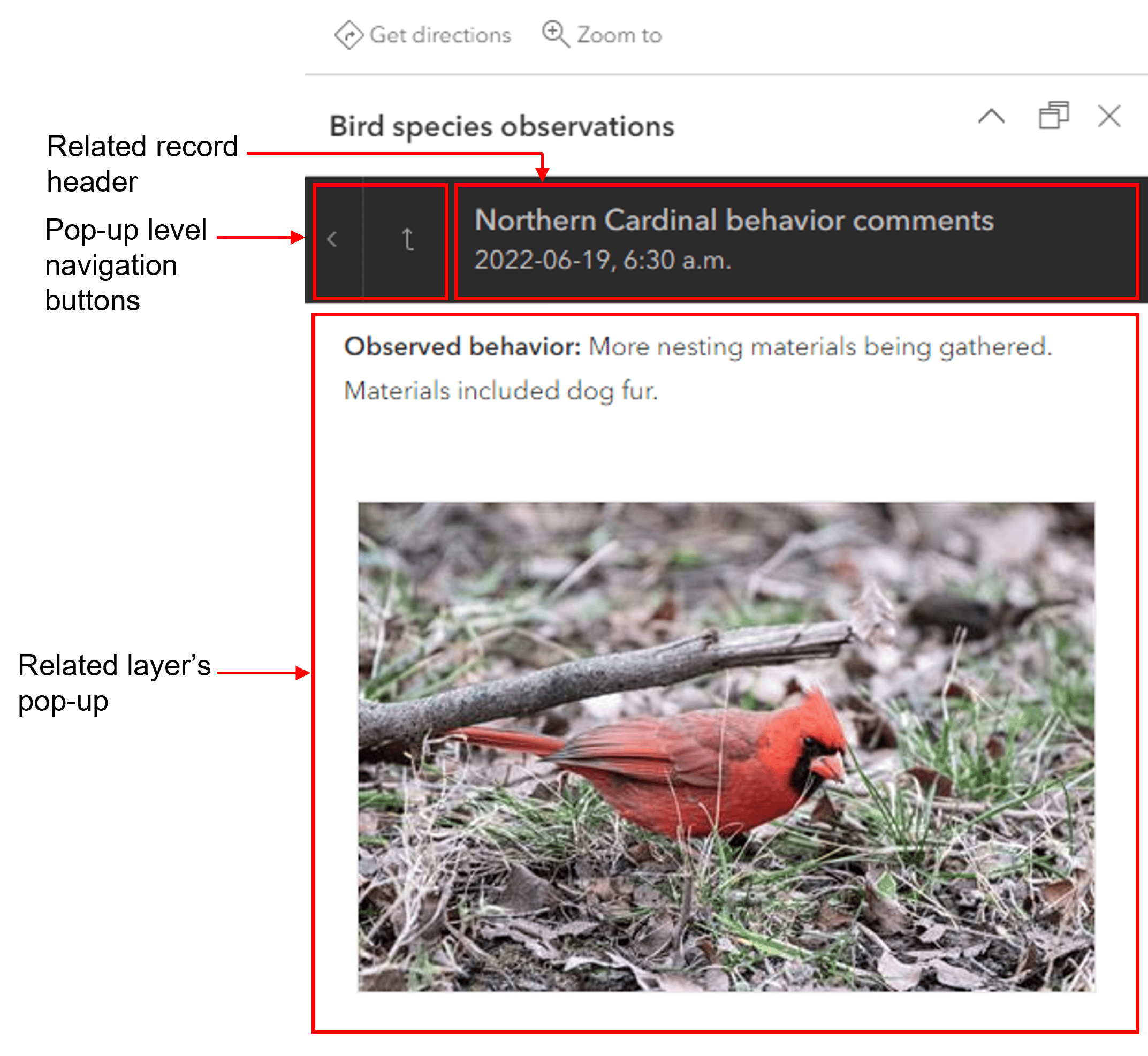 The pop-up from the related bird behavior table. The pop-up from the related bird behavior table.