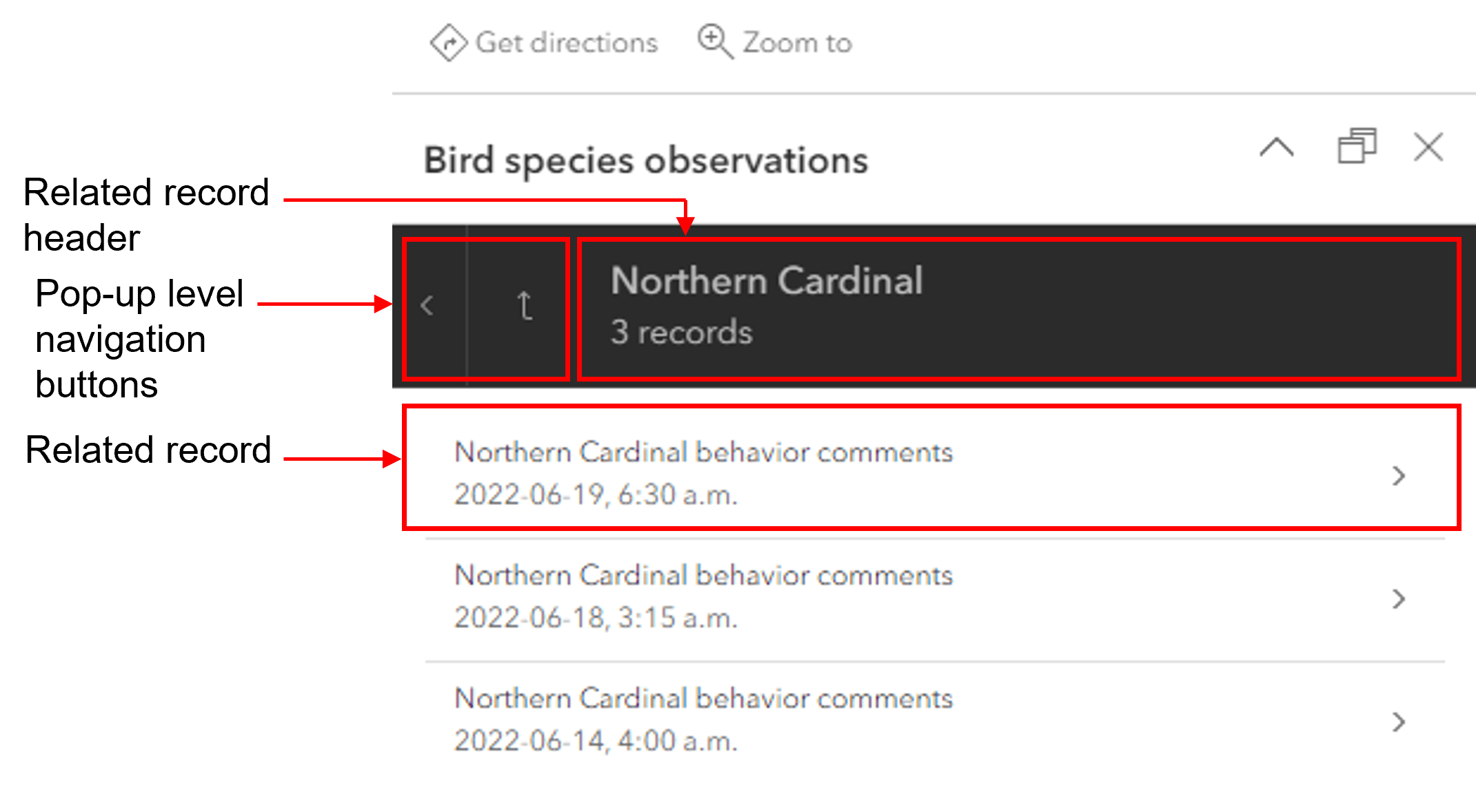 All related records for a single bird observation feature.
