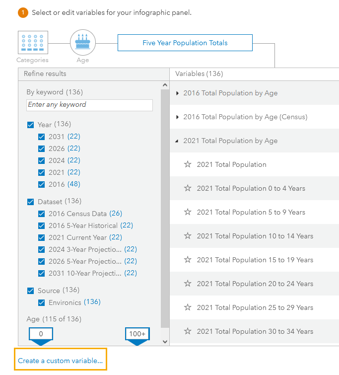 create a custom variable